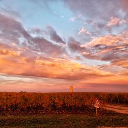 Scenic view of field against sky during sunset