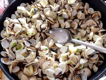 High angle view of shells in container