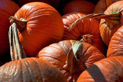 Close-up of pumpkins for sale