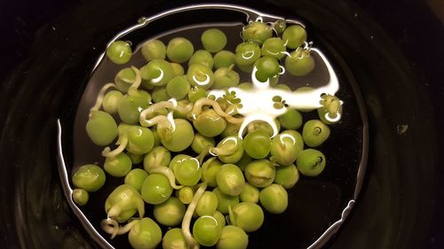 High angle view of vegetables in container