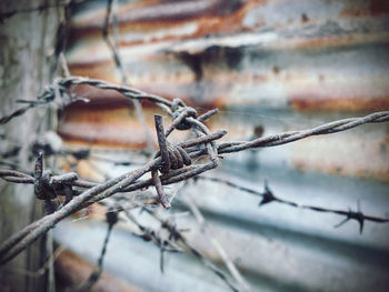 Close-up of barbed wire on fence