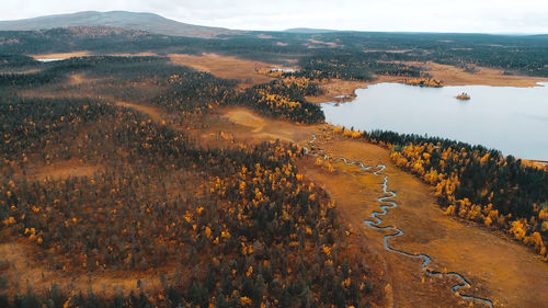 Aerial view of serpentine marshland