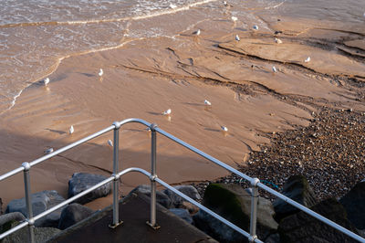 High angle view of railing on beach