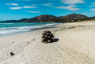 The beautiful coastline of campus and its turquoise sea, sardinia