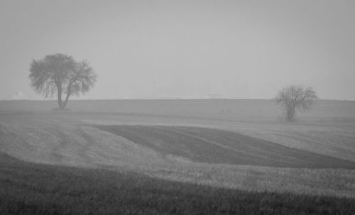 Scenic view of field against clear sky