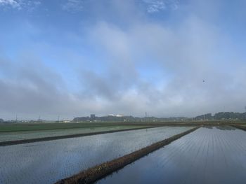 Scenic view of agricultural field against sky