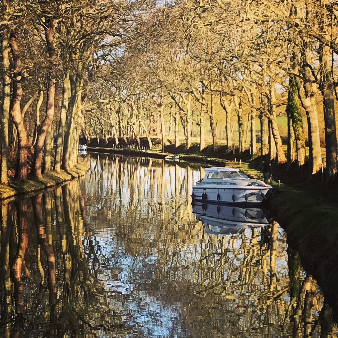 reflection, water, tree, plant, nature, lake, tranquility, waterfront, no people, day, transportation, tree trunk, nautical vessel, trunk, tranquil scene, mode of transportation, beauty in nature, architecture, outdoors