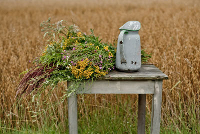 Meadow flowers bouquet and old vase.