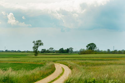 Scenic view of agricultural field against sky