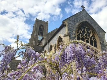 Low angle view of purple flowering by building against sky