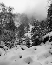 Scenic view of snow covered mountains