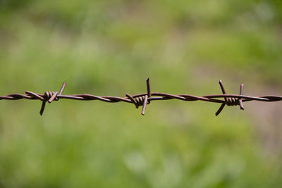 Close-up of barbed wire