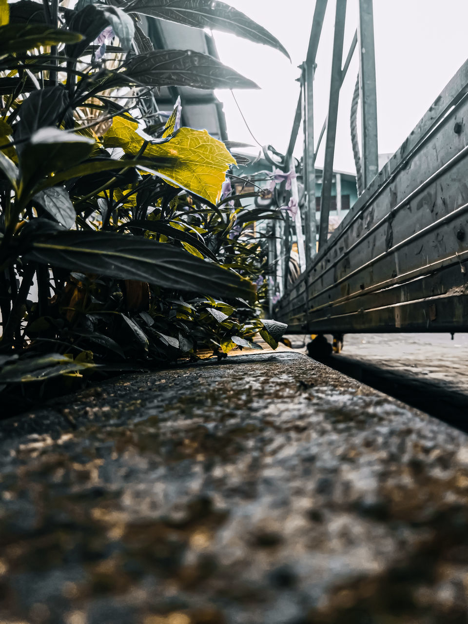 SURFACE LEVEL OF BRIDGE OVER WATER