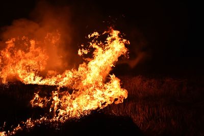 Bonfire on field at night
