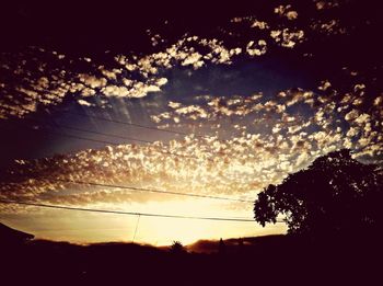 Scenic view of trees against sky at sunset