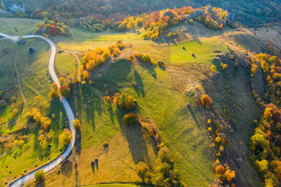 Idyllic drone image of autumn countryside hills. aerial landscape. transylvania, romania