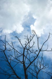 Low angle view of bare tree against cloudy sky