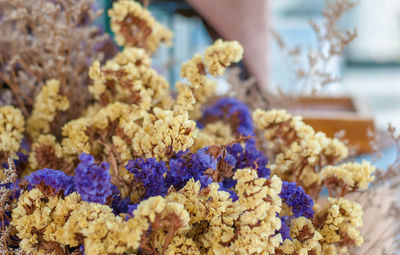 Close-up of hand holding flowers