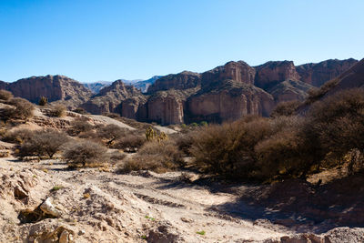 wilderness