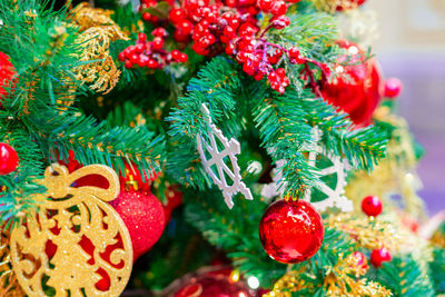 Close-up of christmas tree