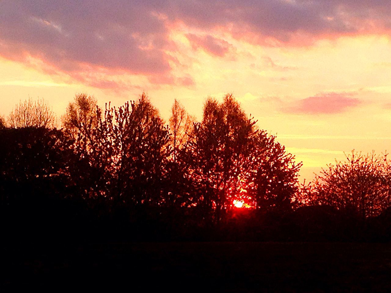 sunset, tree, nature, silhouette, sky, beauty in nature, tranquil scene, tranquility, scenics, no people, sun, growth, landscape, outdoors