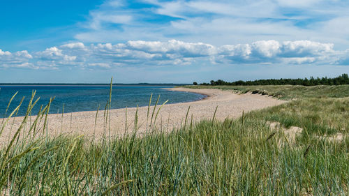 Scenic view of beach against sky