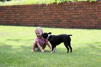 Cheerful girl playing with dog on grassy field