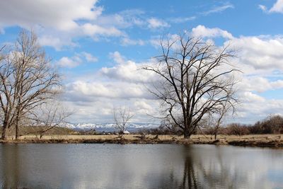 Bare tree by lake against sky