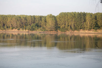 Reflection of trees in lake against sky