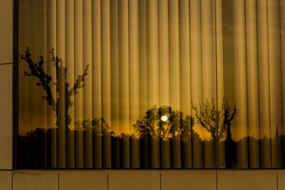 Potted plants by fence at night