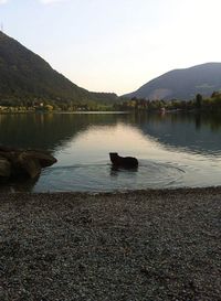 Scenic view of lake against sky during sunset