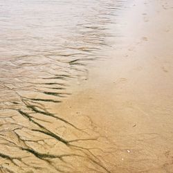 High angle view of beach