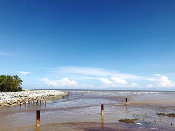 Scenic view of beach against sky