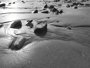 Low tide. stones on the sand. ocean coast