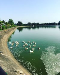 High angle view of swans swimming on lake against sky