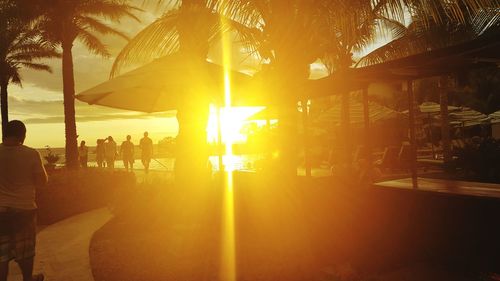 Silhouette people on palm tree during sunset