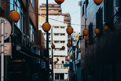 Chinese lanterns hanging amidst buildings
