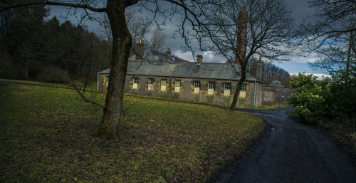 Empty road along trees