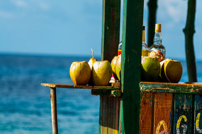 Coconuts at concession stand by sea against sky