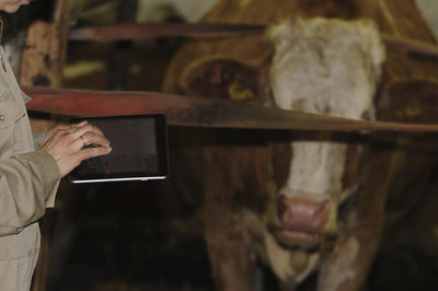 Use of computers and digitalization in dairy farming and agriculture