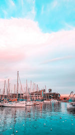 Sailboats in harbor by sea against sky