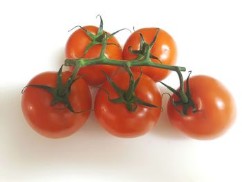 Close-up of tomatoes against white background