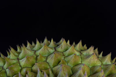 Close-up of durian over black background.