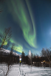 aurora