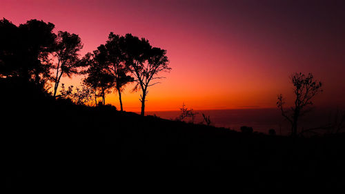 Silhouette trees on landscape against sky during sunset