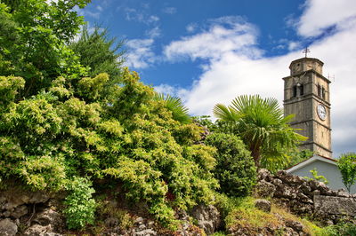 The old church bell tower behind the stone wall overgrown with greenery