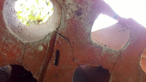 Close-up of hole in tree against sky