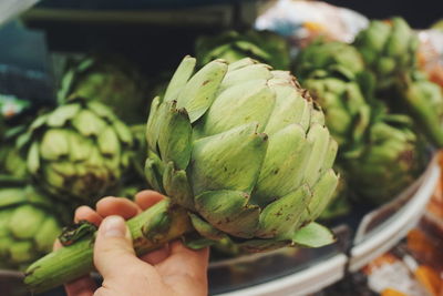 Close-up of hand holding artichoke