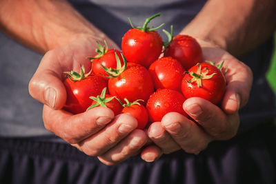 Close-up of hand holding tomatoes