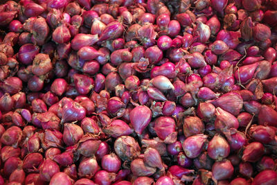 Full frame shot of red onions in market